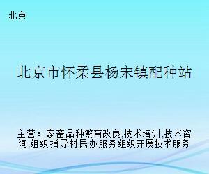 懷柔畜牧技術服務站 深化配種技術咨詢，助力鄉村振興